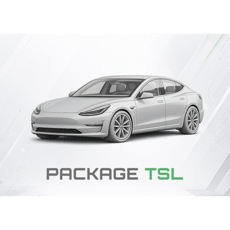 Software module for the LOKI PRO scanner, compatible with Tesla electric vehicles