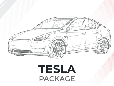 Программное обеспечение к диагностическому сканеру LOKI PRO для автомобилей Tesla 