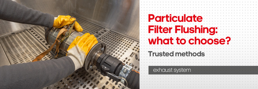 What should one flush the particulate filter with? Lifehacks or trusted methods? What should one flush the particulate filter with? Lifehacks or trusted methods?